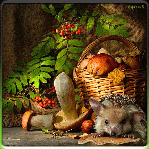 осенний натюрморт - грибы, корзина, еж - оригинал