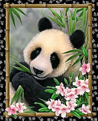 панда - животные - оригинал