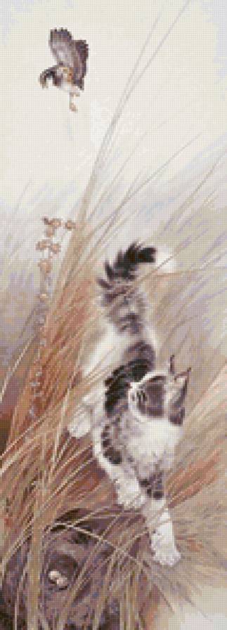 кошка - птица, кот - предпросмотр