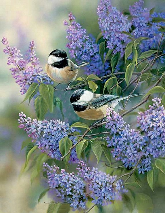 Синички на сирене - птицы - оригинал