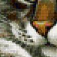Предпросмотр схемы вышивки «Котик» (№29464)