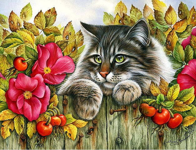 Котик - животные - оригинал