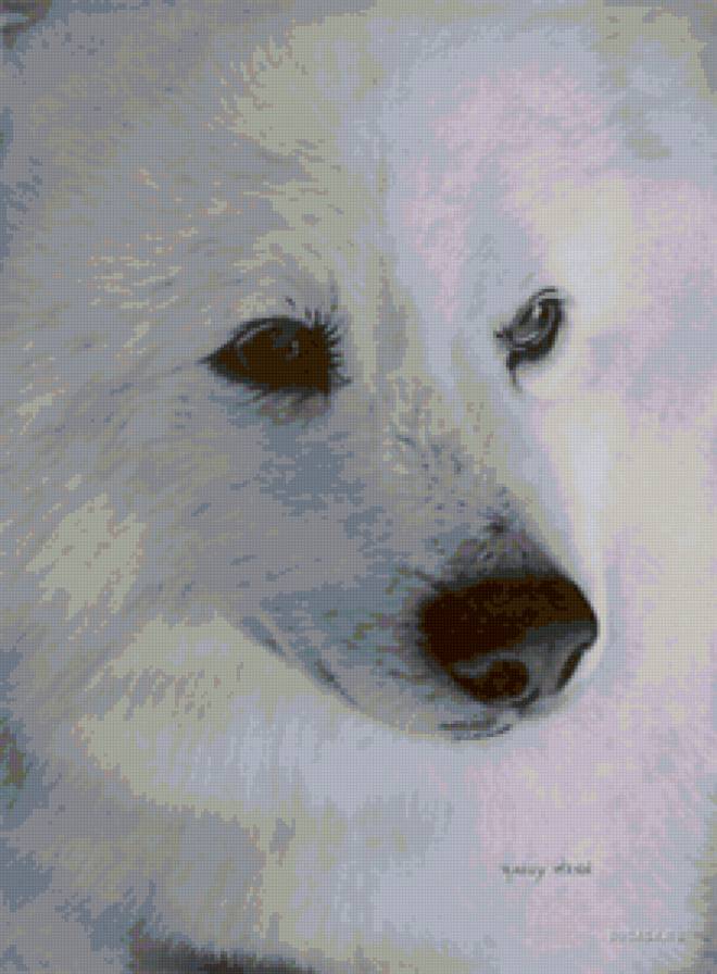 взгляд - животные, лица, глаза - предпросмотр