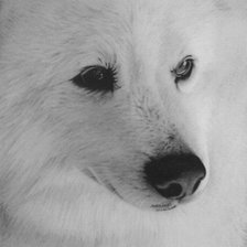 Схема вышивки «взгляд»