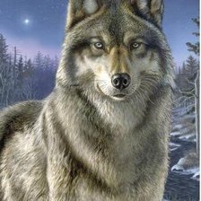 Схема вышивки «волк»