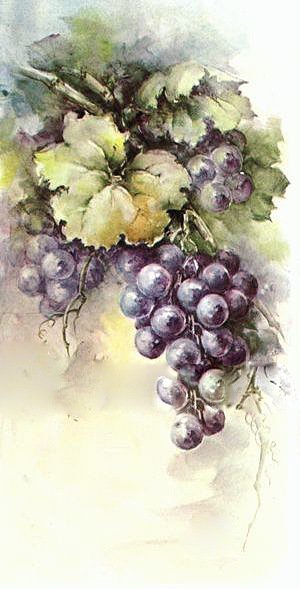 Виноград - фрукты, живопись - оригинал