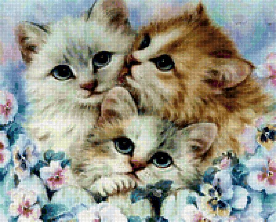 киски - котята, киски - предпросмотр