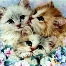 Схема вышивки «киски»