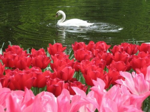 №29685 - оригинал