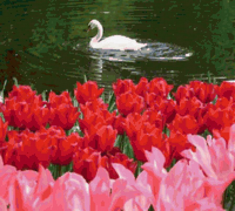 №29685 - предпросмотр