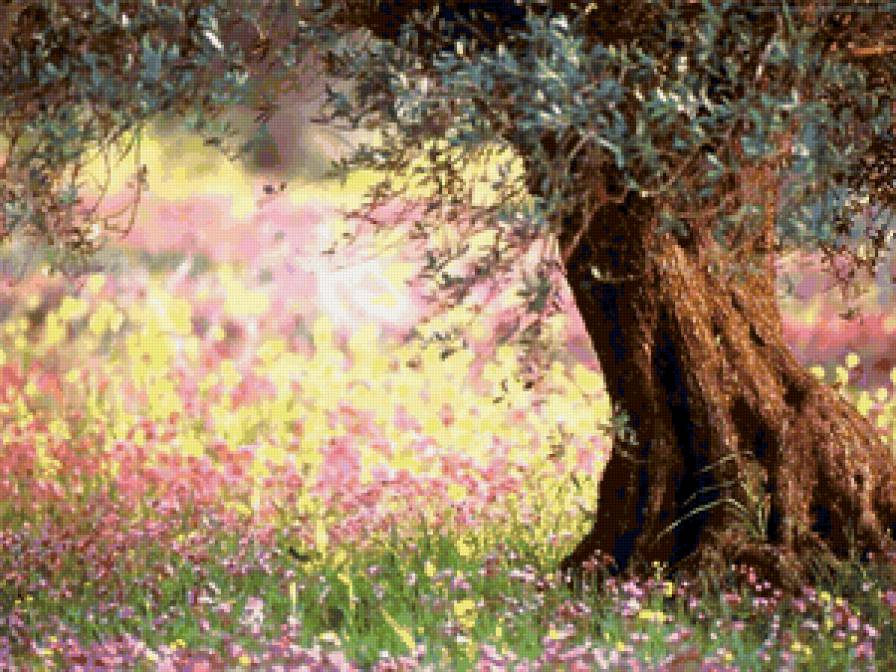 парк - природа, лес - предпросмотр