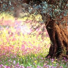 Схема вышивки «парк»