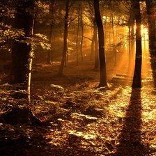 Схема вышивки «парк»