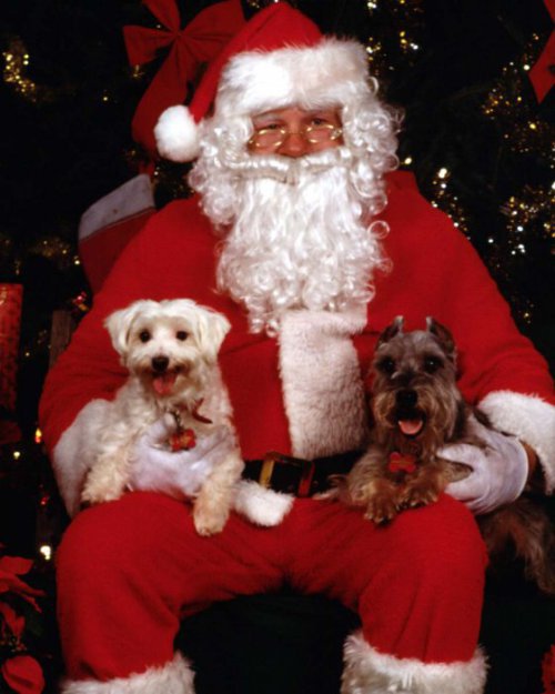 Санта- Клаус - новый год, друзья, рождество - оригинал