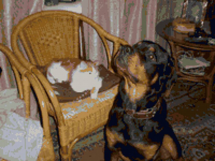 соня и муха - предпросмотр