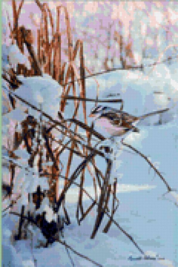 c6 - предпросмотр