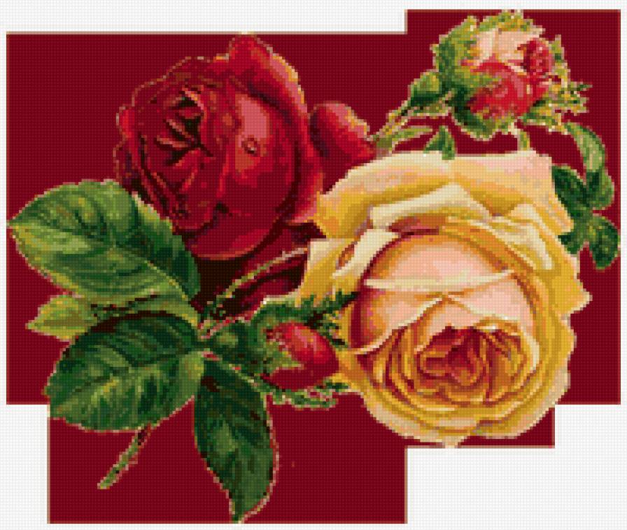 цветы - природа, букет, цветы - предпросмотр