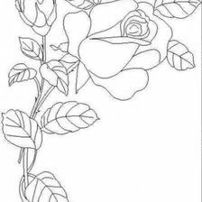 Схема вышивки «черно-белое»