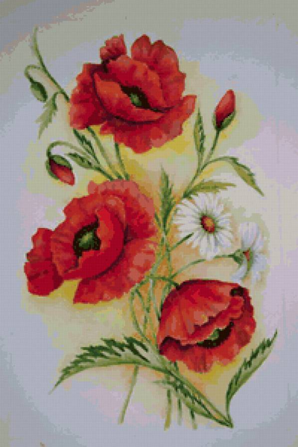 маки - натюрморт, цветы, букет, природа - предпросмотр