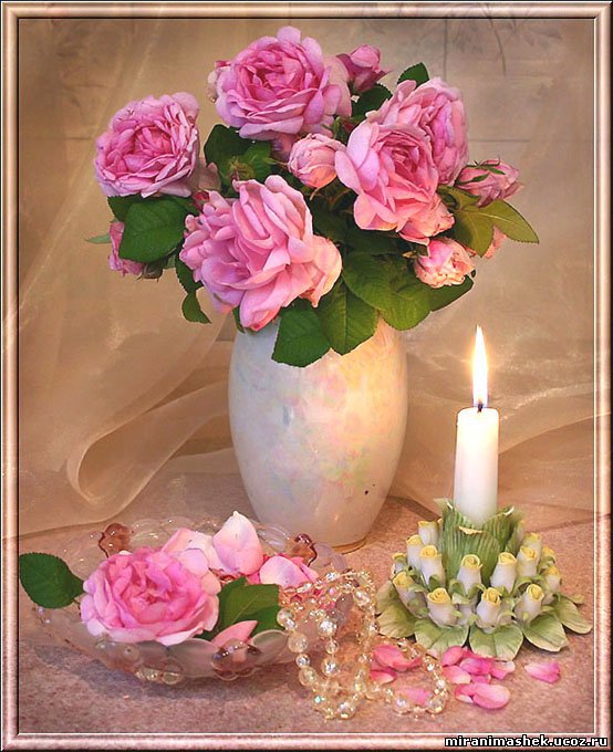 цветы - натюрморт, букет, природа, цветы - оригинал