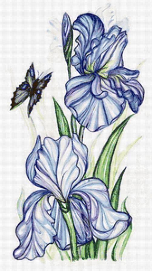 ирис - цветы, букет, природа, бабочки, ирисы - предпросмотр