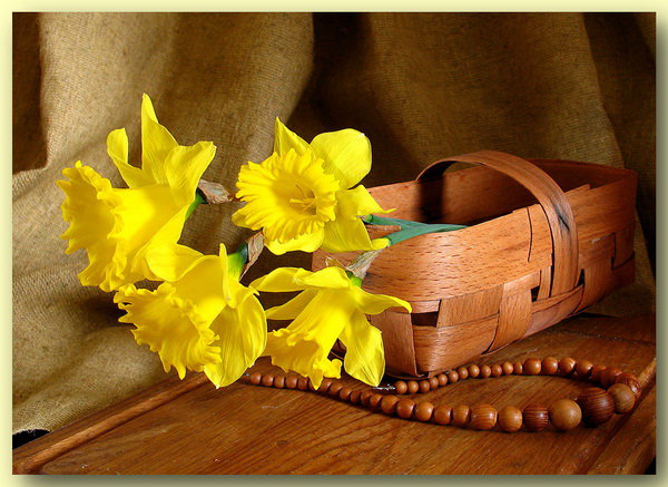 цветы - природа, цветы, натюрморт, букет - оригинал