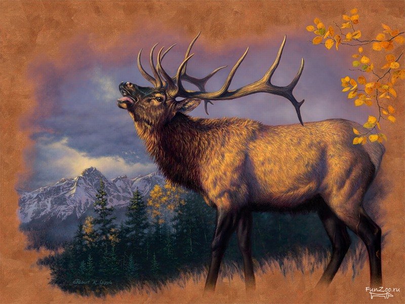 олень - животные - оригинал