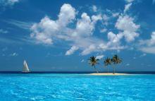 морской пейзаж - пейзаж, пальмы, море - оригинал