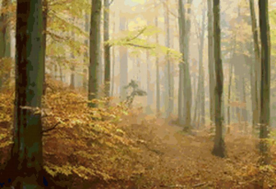 лес - туман, пейзаж, деревья, осень, лес - предпросмотр