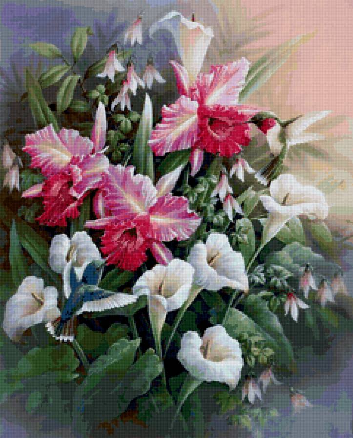 цветы и колибри - птицы, цветы - предпросмотр