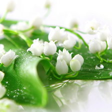 Схема вышивки «Ландыши»