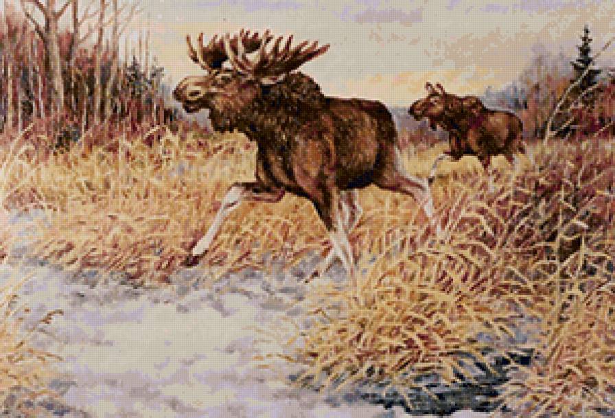 №31175 - пейзаж, животные, лоси - предпросмотр