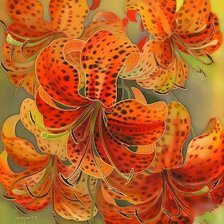 Схема вышивки «Тигровые лилии»