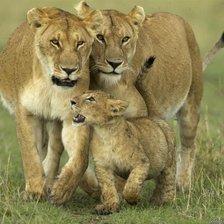 Схема вышивки «семья»