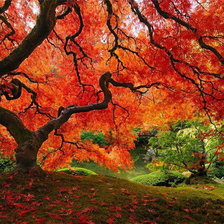 Схема вышивки «№31300»