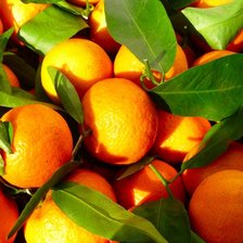 Схема вышивки «фрукты»