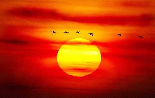 закат - закат - оригинал