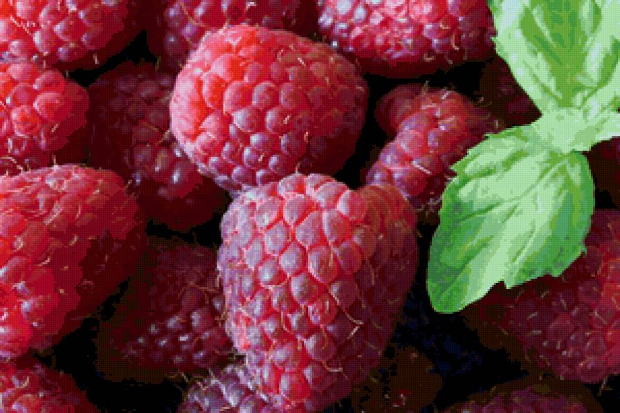 малина - лето, ягода, малина - предпросмотр