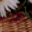 Предпросмотр схемы вышивки «нежность» (№31450)