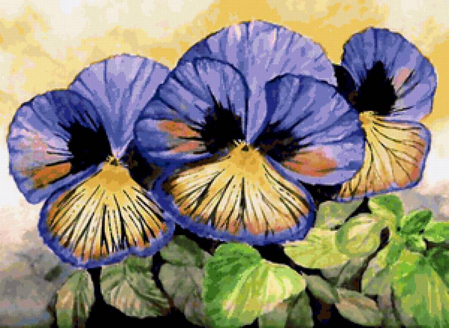 Variant 1 - cvety - предпросмотр