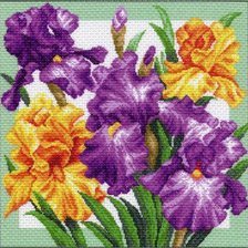 Схема вышивки «Ирисы-3»