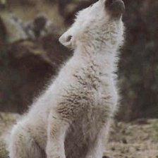 Схема вышивки «волчонок»