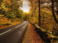 Схема вышивки «золотая осень»