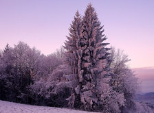 Схема вышивки «зима»