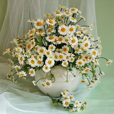 Схема вышивки «ромашки»