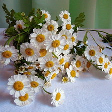 Схема вышивки «ромашки»