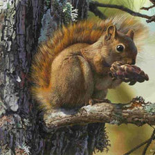 Схема вышивки «белка на ветке»