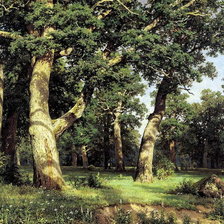 Схема вышивки «Дубовая роща»