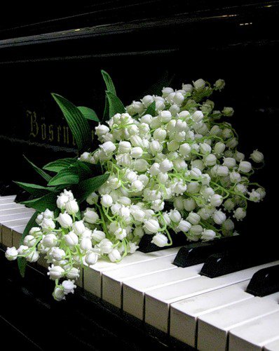 ландыши - ландыши - оригинал