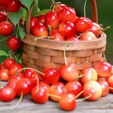 Схема вышивки «черешня»